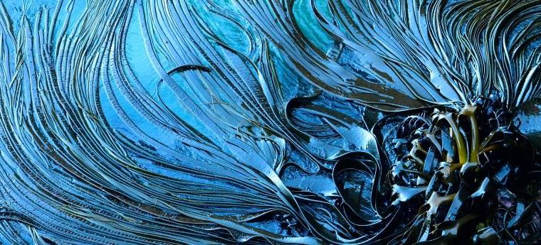 Blue Beauty