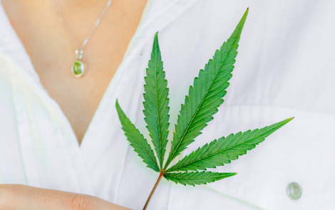 ¿Qué hay de nuevo en el CBD (cannabidiol)?