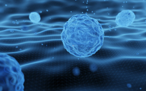 Cosmetic solutions to overcome cell senescence