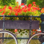Science meets beauty in Amsterdam: Save the date for in-cosmetics Global 2025