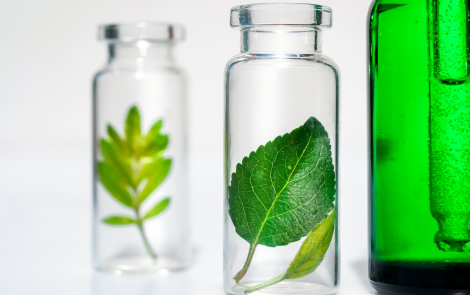 Novos ingredientes naturais e que dispensam embalagens são destaques no primeiro dia de in-cosmetics Virtual