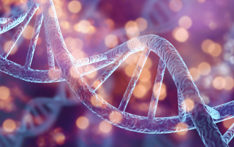 Stem cells in cosmetic formulas: a sustainable innovation