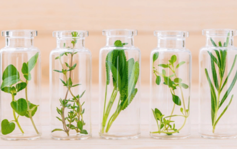 Exploring in-cosmetics Global 2024 highlights: where eco-sustainable beauty meets innovation